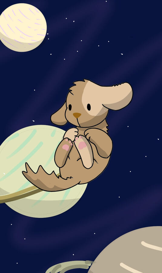 space dog